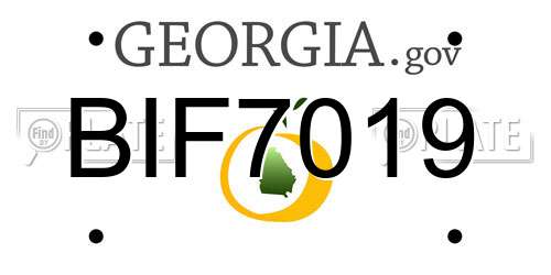BIF7019 Georgia License Plate
