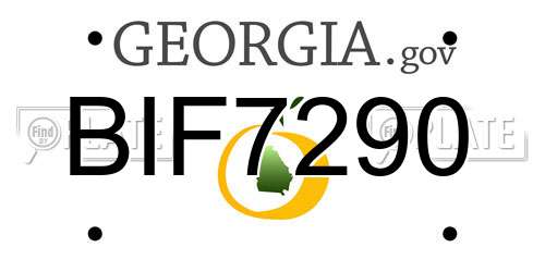 BIF7290 Georgia License Plate
