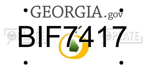 BIF7417 Georgia License Plate