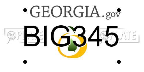 BIG345 Georgia License Plate
