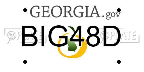 BIG48D Georgia License Plate