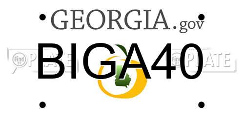 BIGA40 Georgia License Plate