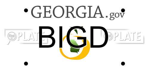 BIGD Georgia License Plate