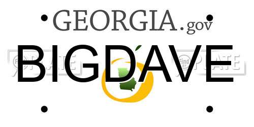 BIGDAVE Georgia License Plate