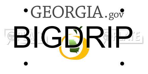 BIGDRIP Georgia License Plate