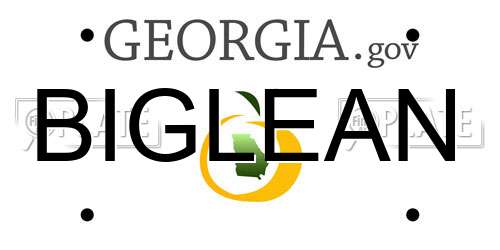 BIGLEAN Georgia License Plate