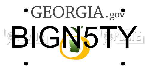 BIGN5TY Georgia License Plate