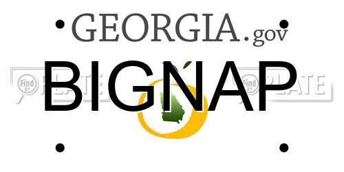 BIGNAP Georgia License Plate