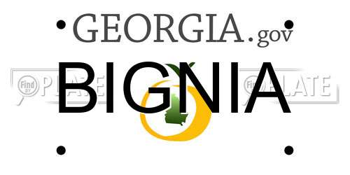 BIGNIA Georgia License Plate
