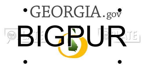 BIGPUR Georgia License Plate