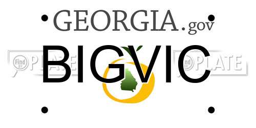 BIGVIC Georgia License Plate