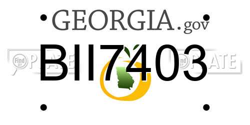 BII7403 Georgia License Plate