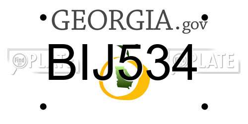 BIJ534 Georgia License Plate