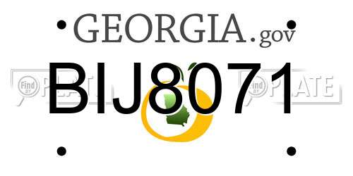 BIJ8071 Georgia License Plate