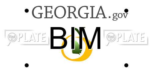 BIM Georgia License Plate