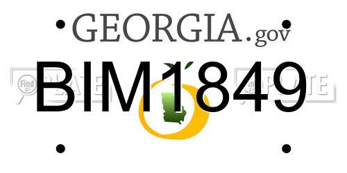 BIM1849 Georgia License Plate