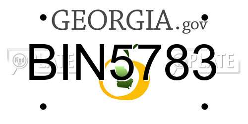 BIN5783 Georgia License Plate