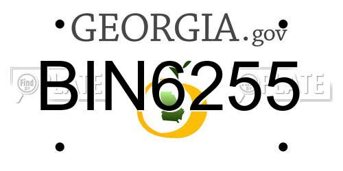 BIN6255 Georgia License Plate