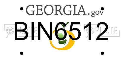 BIN6512 Georgia License Plate