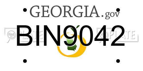 BIN9042 Georgia License Plate