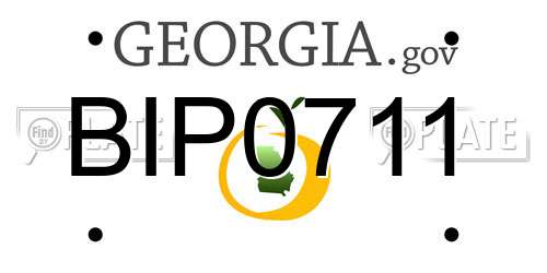 BIP0711 Georgia License Plate
