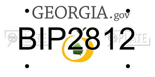 BIP2812 Georgia License Plate
