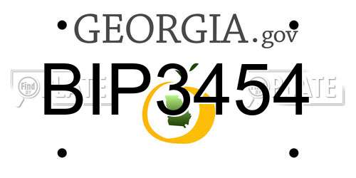 BIP3454 Georgia License Plate