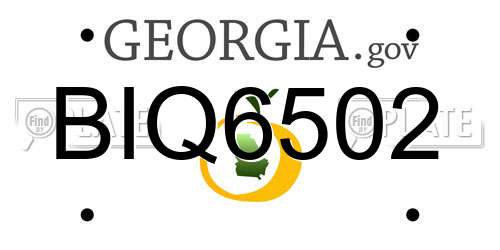 BIQ6502 Georgia License Plate