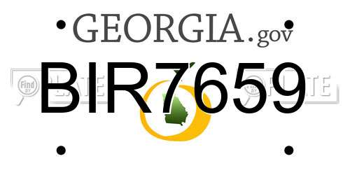BIR7659 Georgia License Plate
