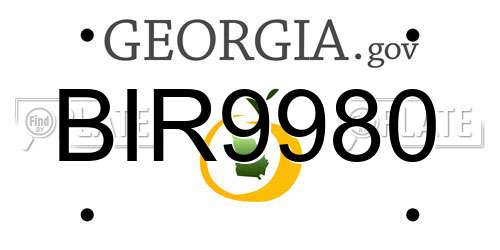 BIR9980 Georgia License Plate