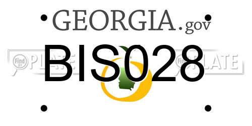 BIS028 Georgia License Plate