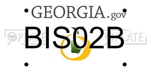 BIS02B Georgia License Plate