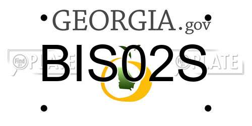 BIS02S Georgia License Plate