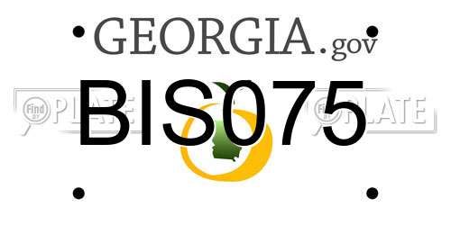 BIS075 Georgia License Plate