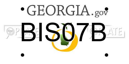 BIS07B Georgia License Plate