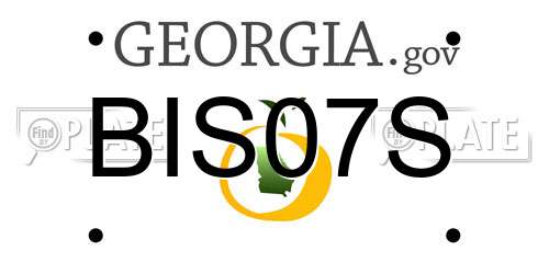 BIS07S Georgia License Plate