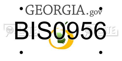 BIS0956 Georgia License Plate