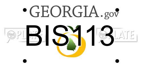 BIS113 Georgia License Plate