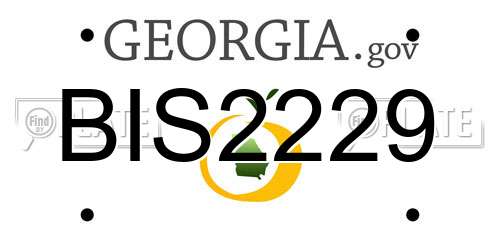 BIS2229 Georgia License Plate