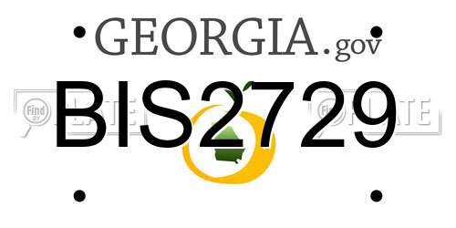 BIS2729 Georgia License Plate