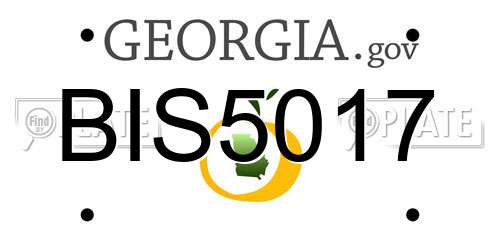 BIS5017 Georgia License Plate