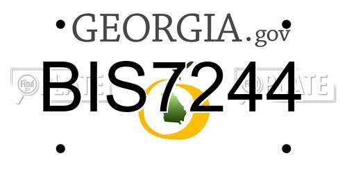 BIS7244 Georgia License Plate