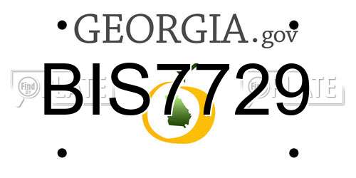 BIS7729 Georgia License Plate