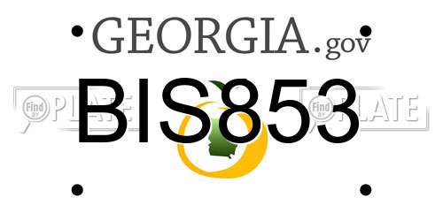 BIS853 Georgia License Plate