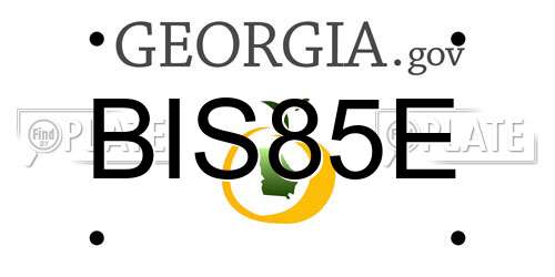 BIS85E Georgia License Plate