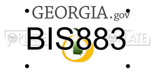 BIS883 Georgia License Plate