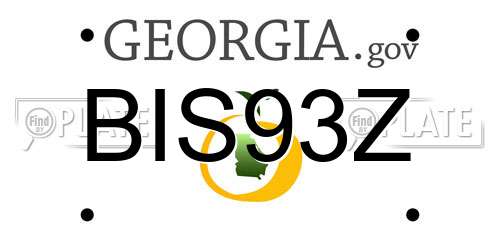 BIS93Z Georgia License Plate