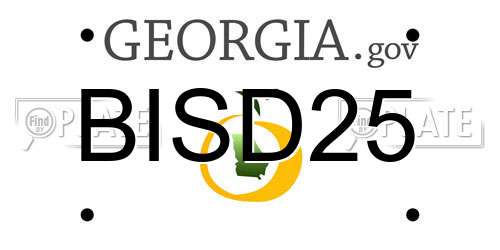 BISD25 Georgia License Plate