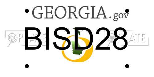 BISD28 Georgia License Plate
