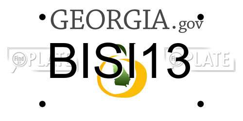 BISI13 Georgia License Plate